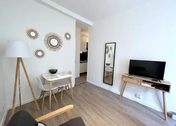 La Terrasse De Dupuy,appartement Climatise Τουλούζη