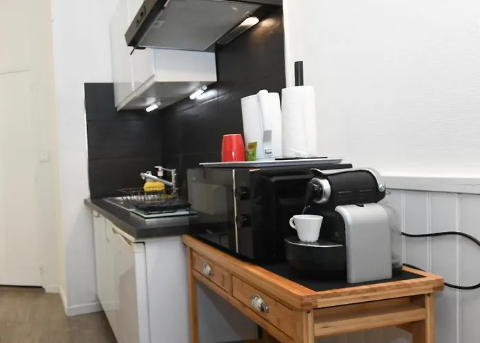 La Terrasse De Dupuy,appartement Climatise Lejlighed Toulouse